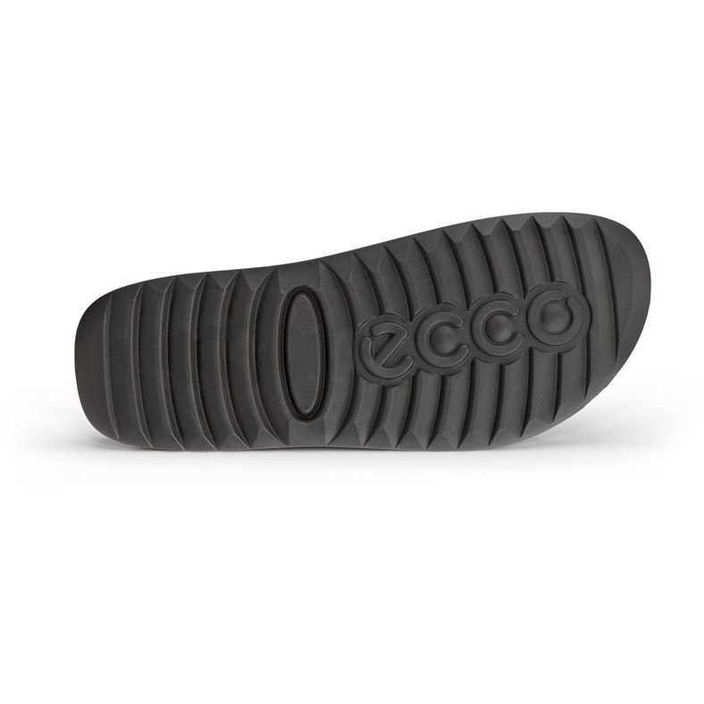 ecco cozmo m
