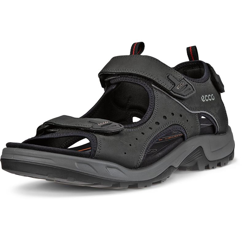 ecco offroad
