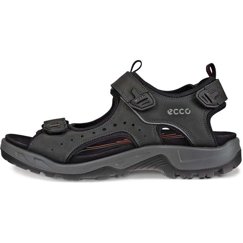 ecco offroad