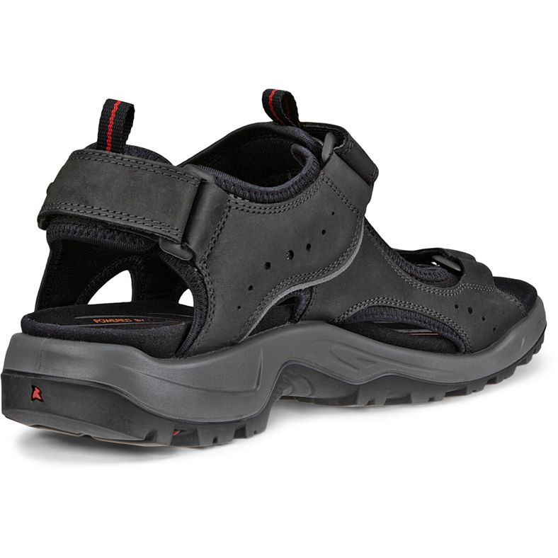 ecco offroad