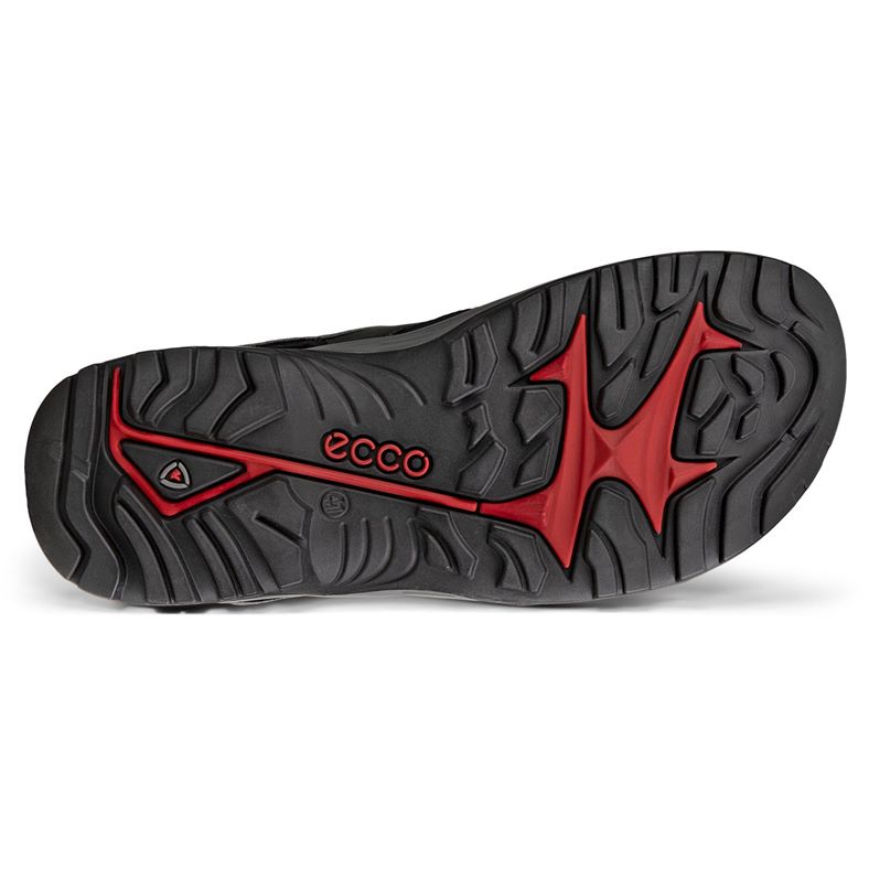 ecco offroad