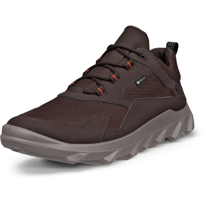 ecco mx m
