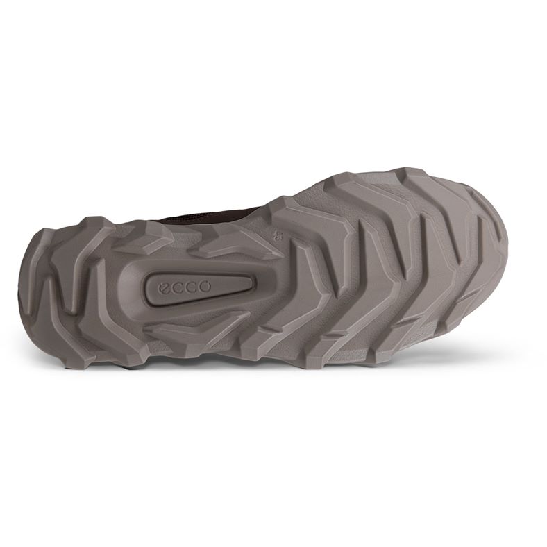 ecco mx m