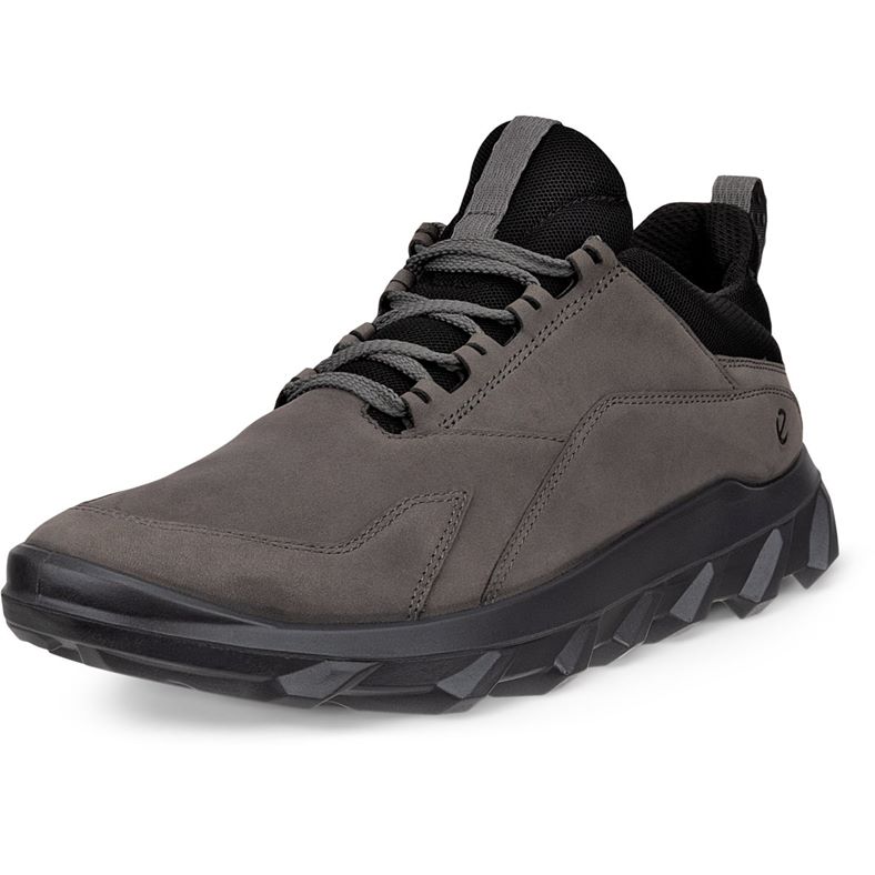 ecco mx m