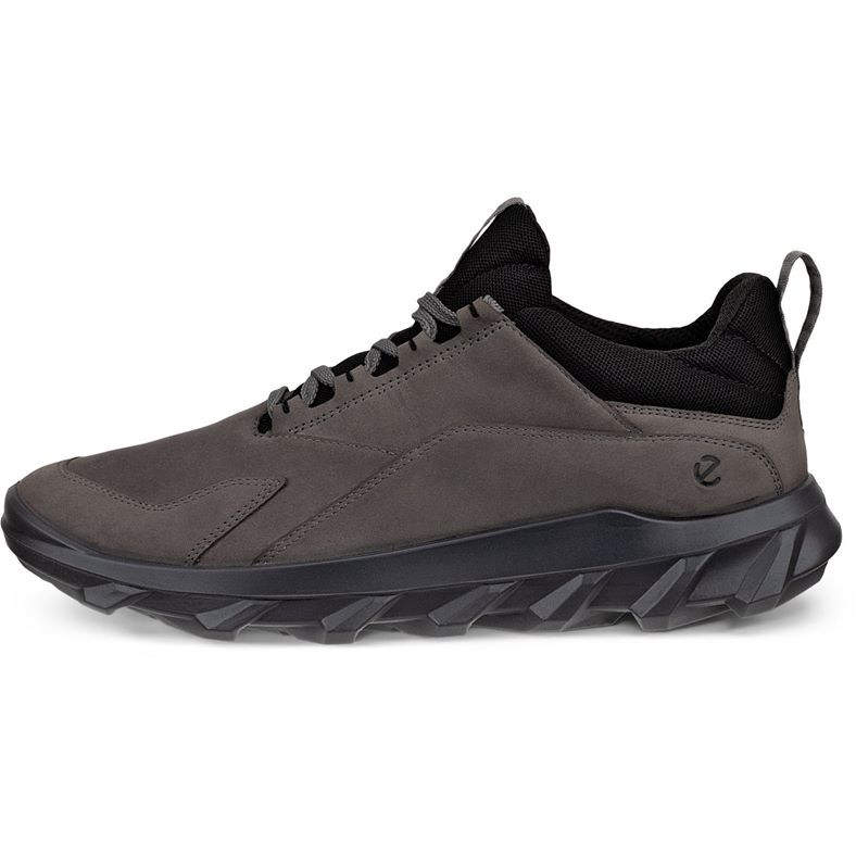 ecco mx m