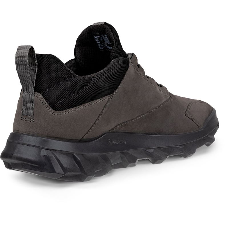 ecco mx m