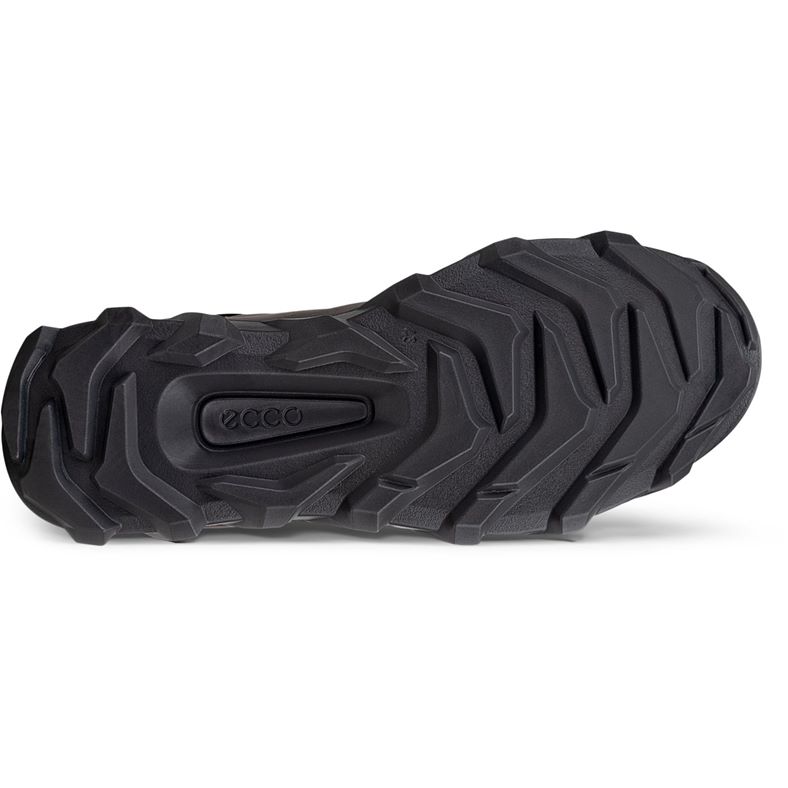 ecco mx m