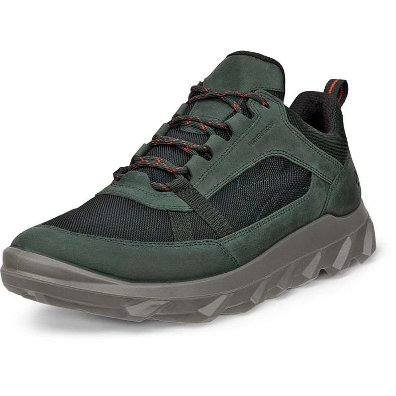 ecco mx m