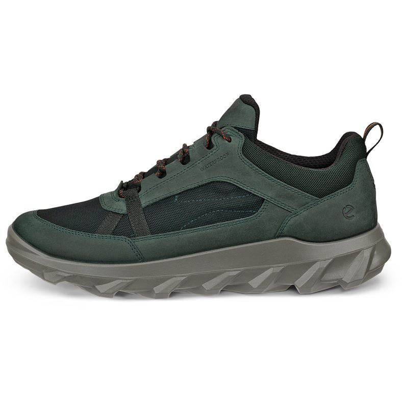 ecco mx m