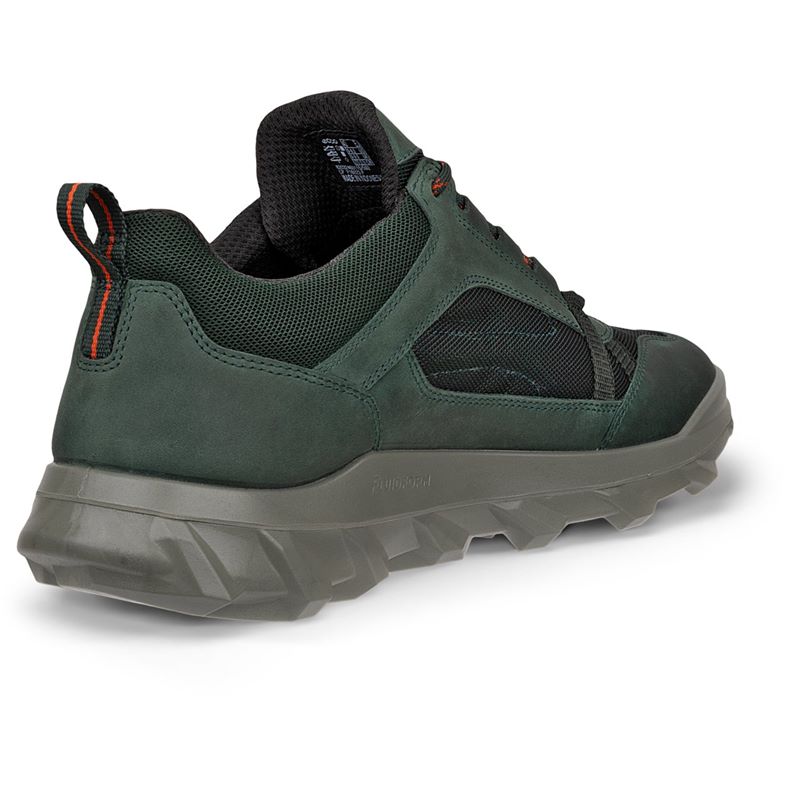 ecco mx m