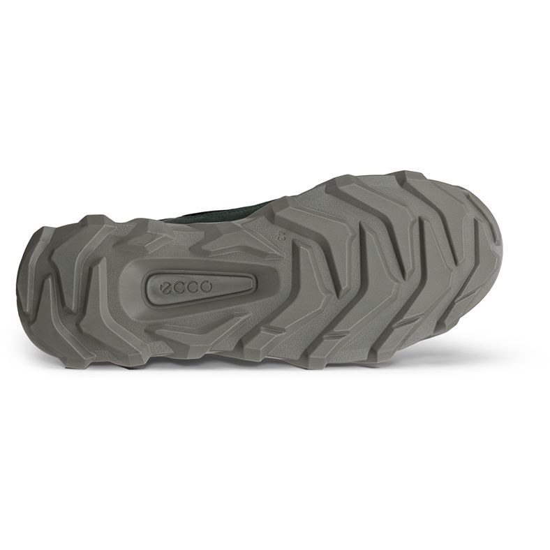 ecco mx m