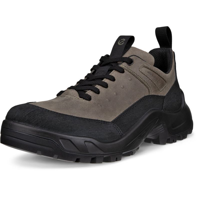 ecco offroad m