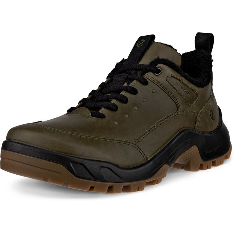 ecco offroad m
