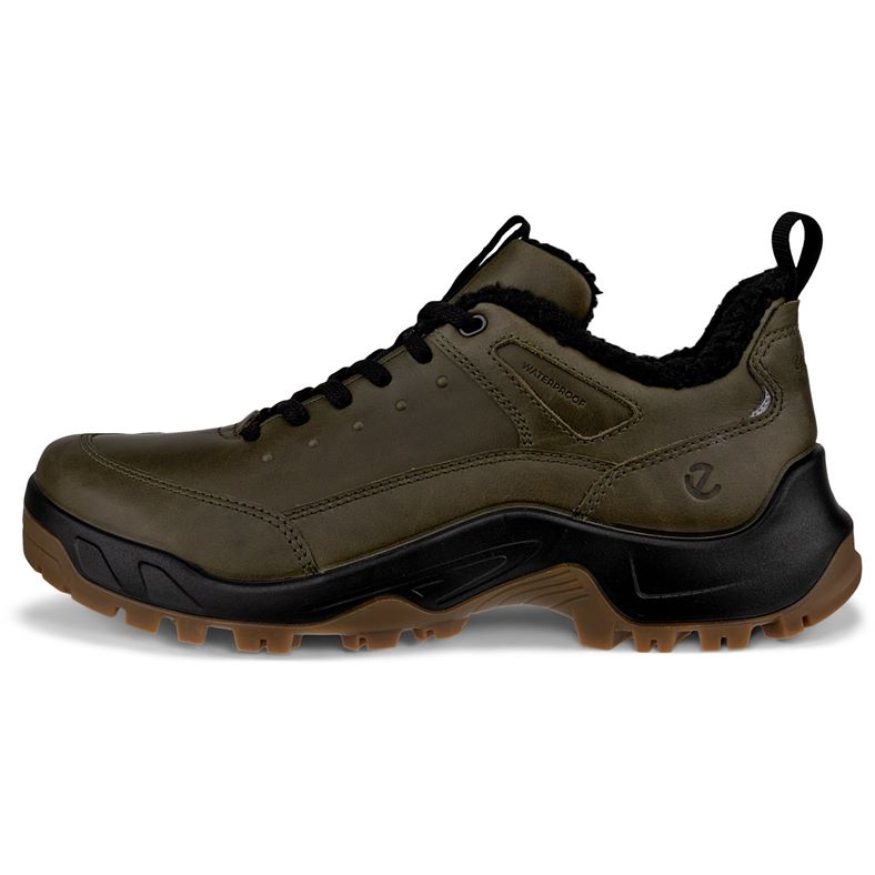 ecco offroad m
