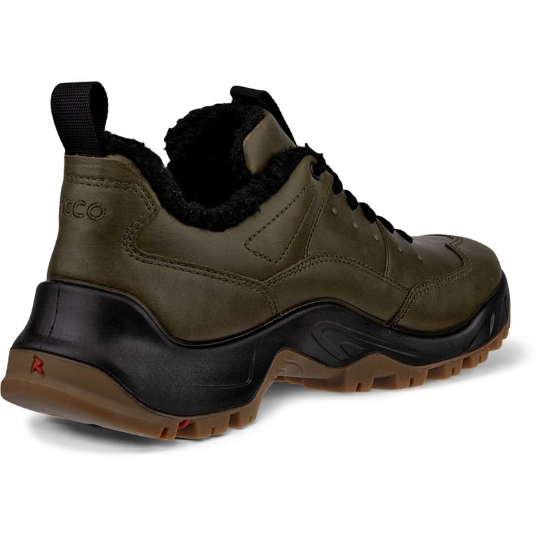 ecco offroad m