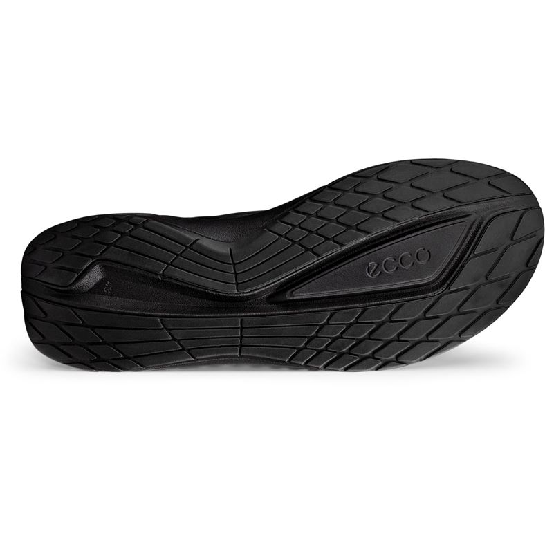 ecco biom 2.2 m
