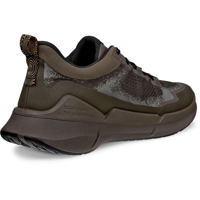 ecco biom 2.2 m