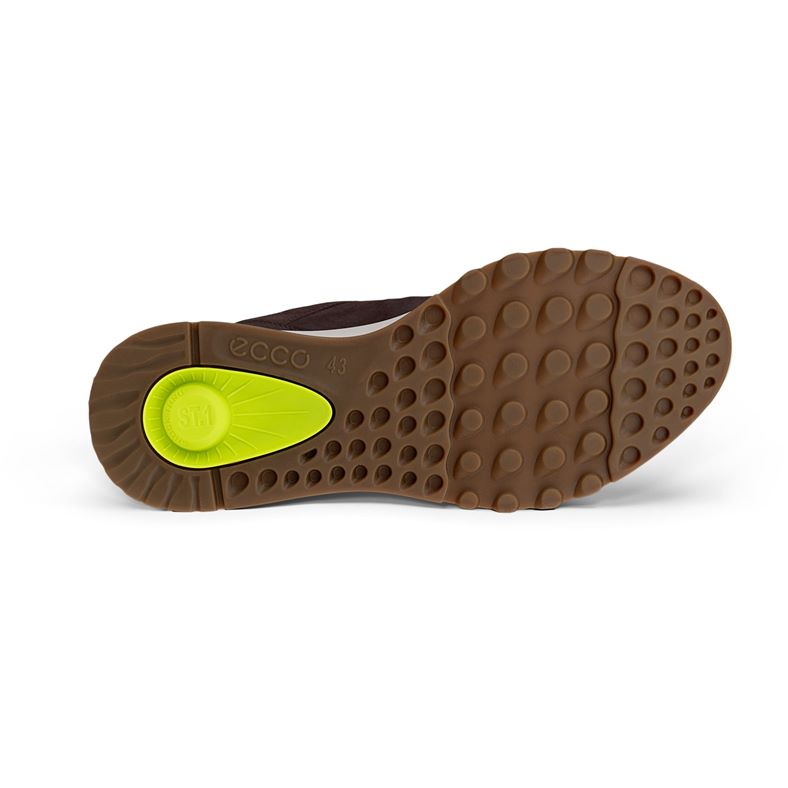 ecco exostride m
