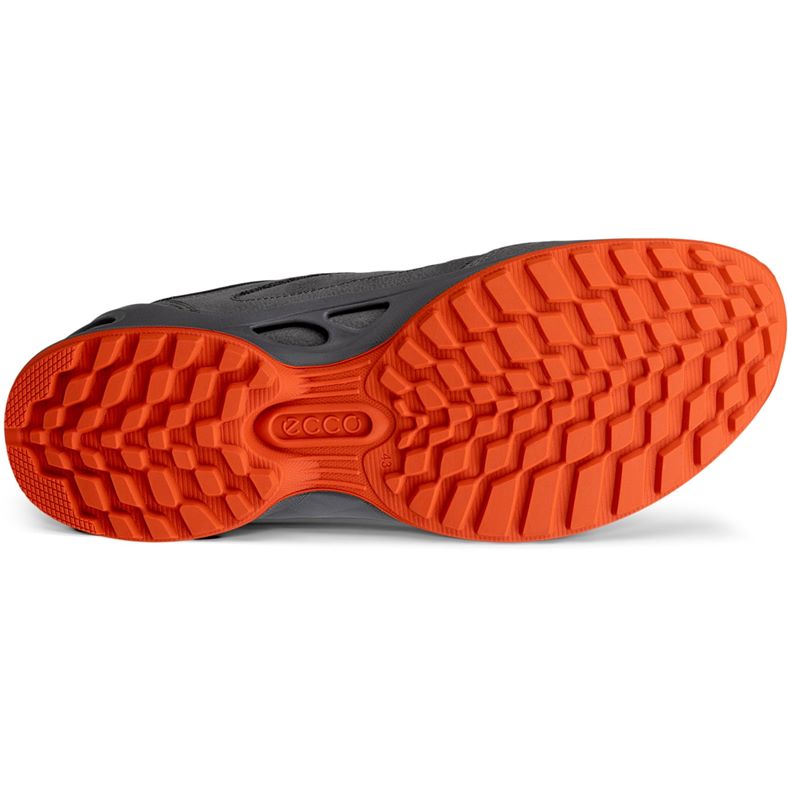 ecco biom energi m