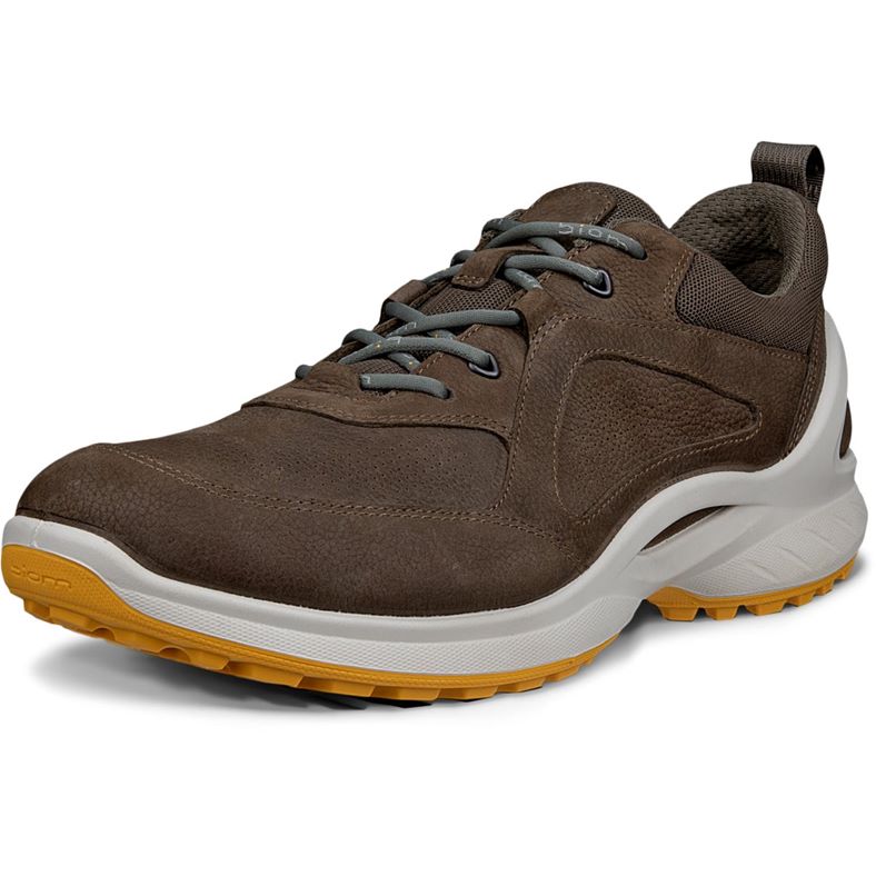 ecco biom energi m