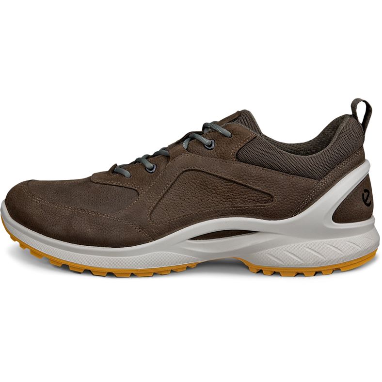 ecco biom energi m