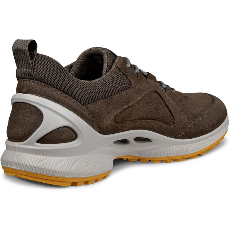 ecco biom energi m