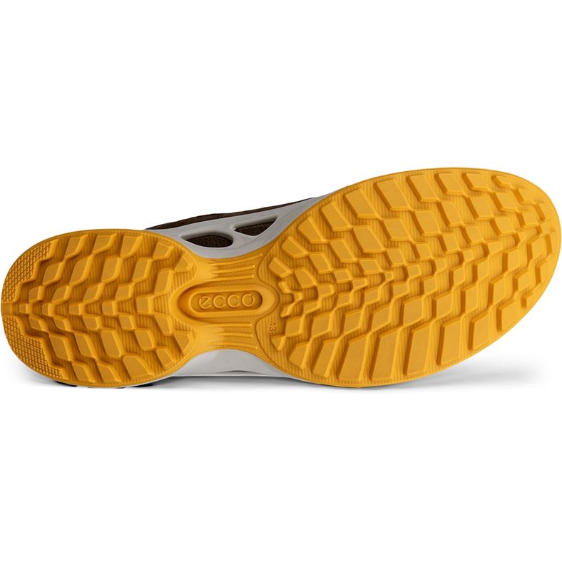 ecco biom energi m