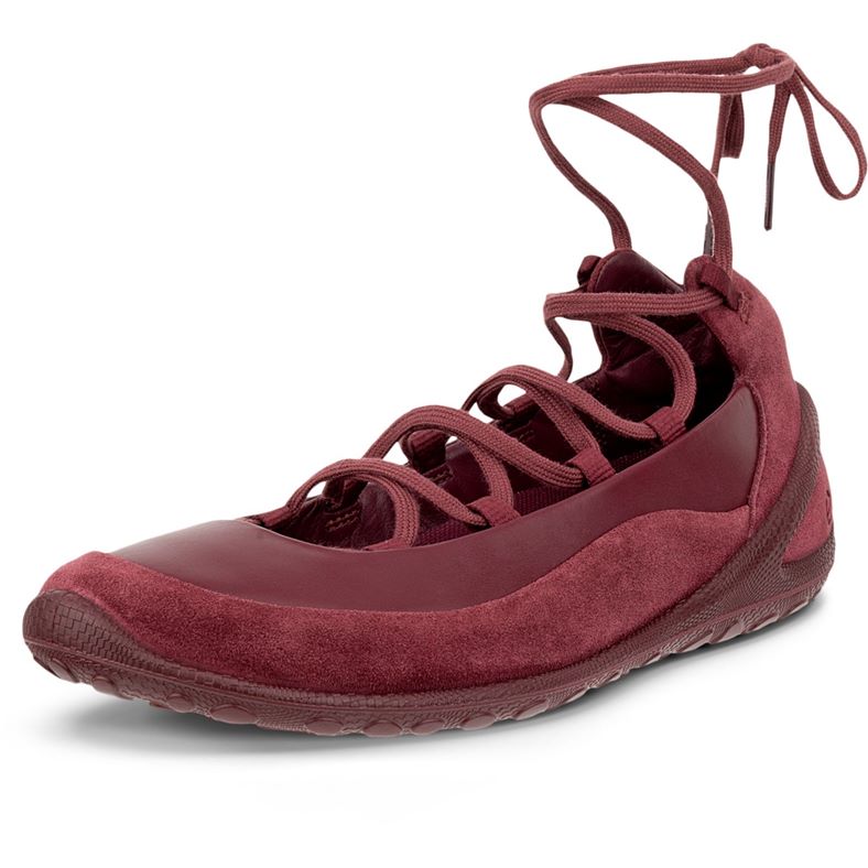ecco biom lite w