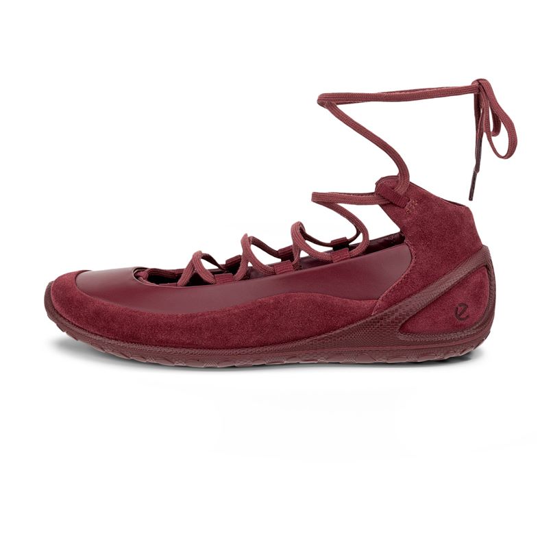ecco biom lite w
