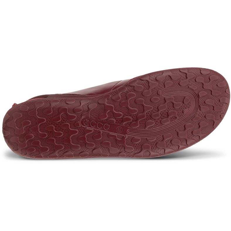 ecco biom lite w