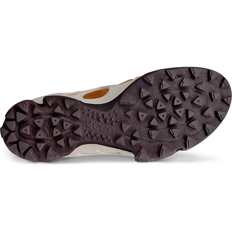 ecco biom c-trail w