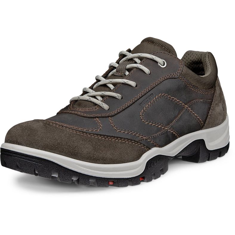 ecco xpedition iii w