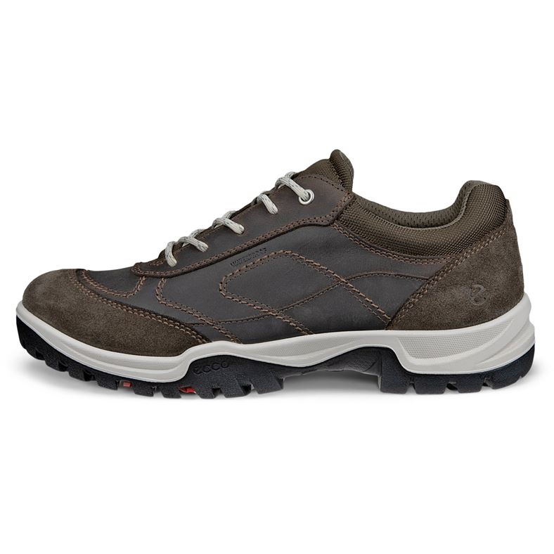 ecco xpedition iii w