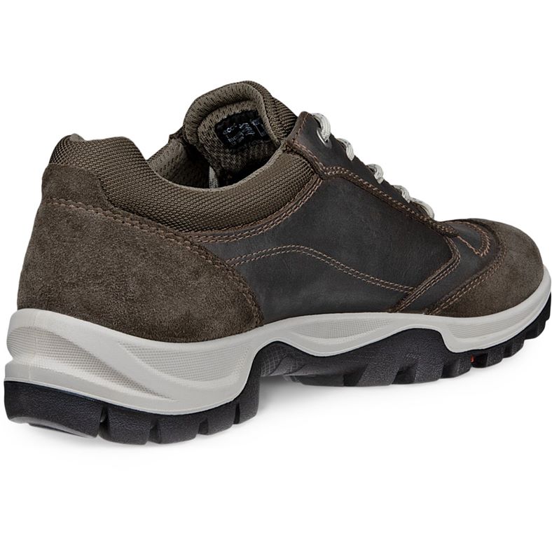 ecco xpedition iii w