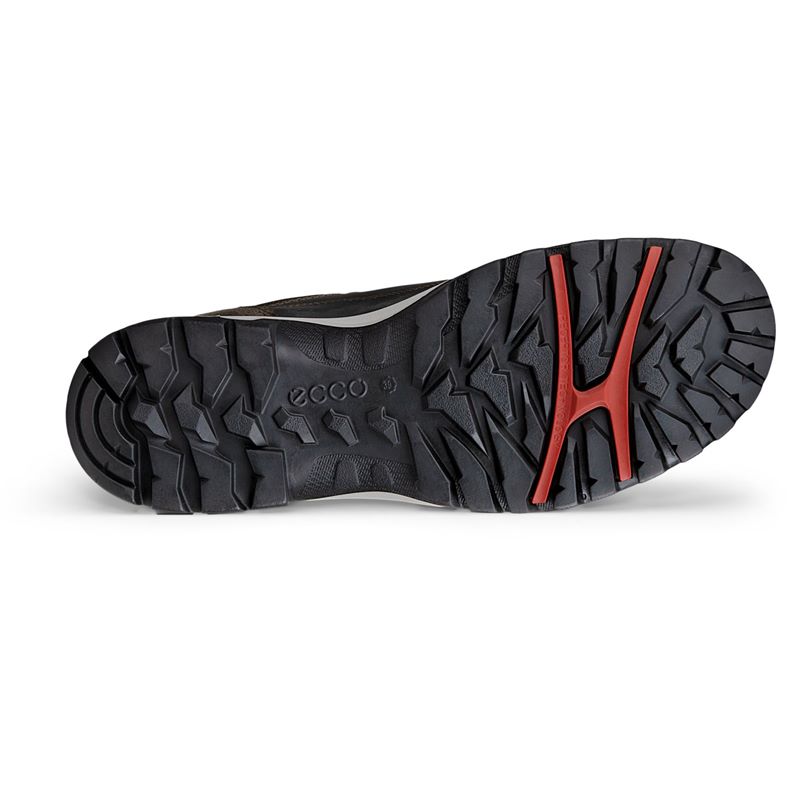 ecco xpedition iii w