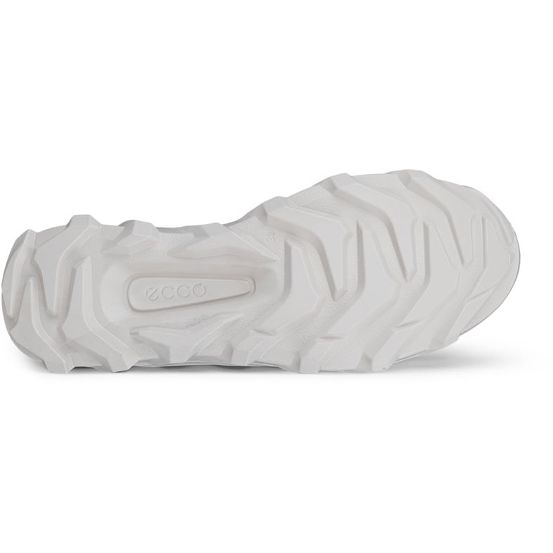 ecco mx w