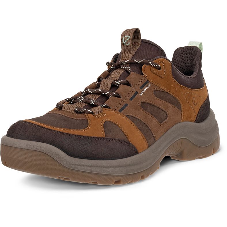 ecco offroad w