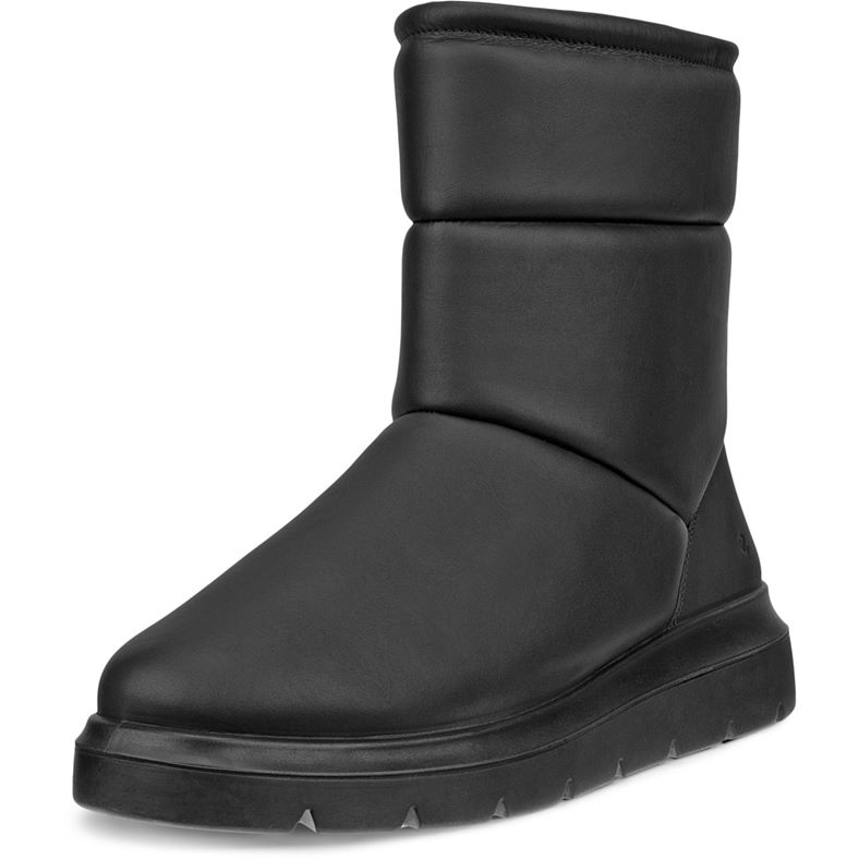 ecco nouvelle