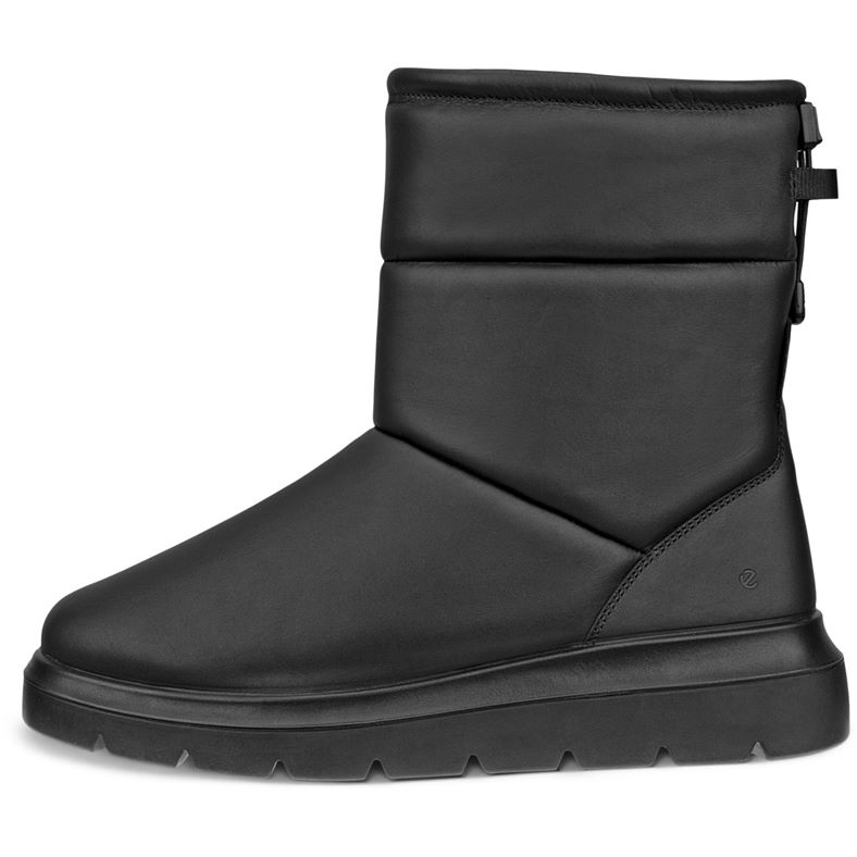 ecco nouvelle
