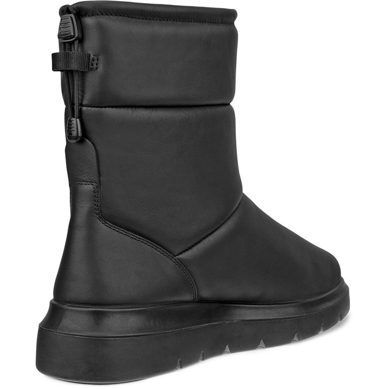 ecco nouvelle