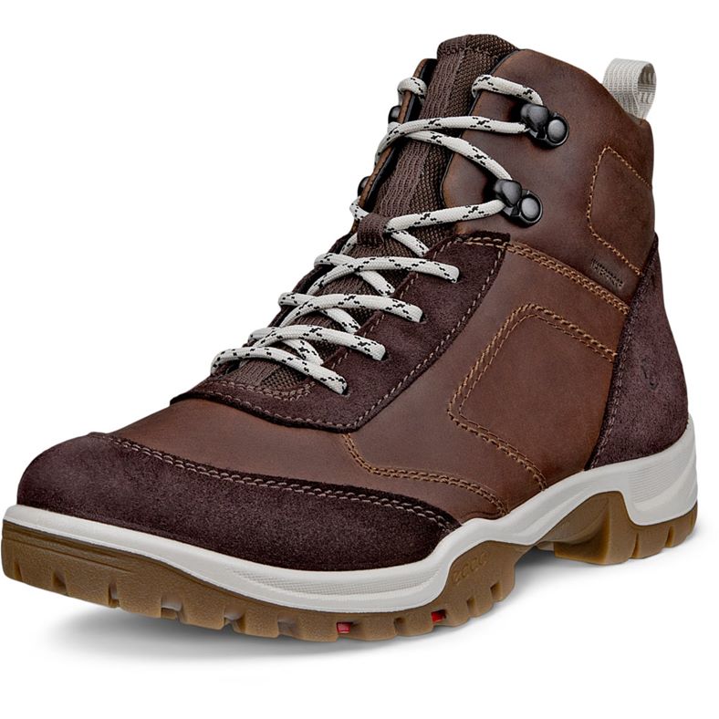 ecco xpedition iii w