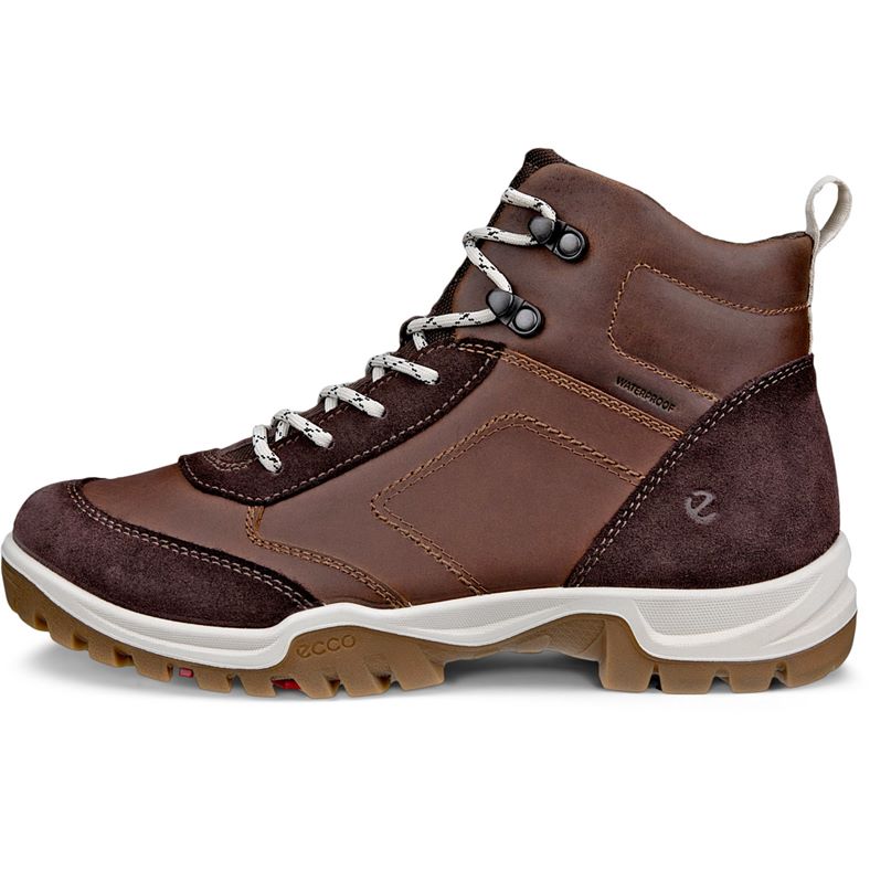 ecco xpedition iii w