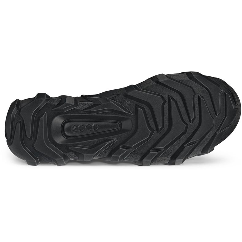 ecco mx w