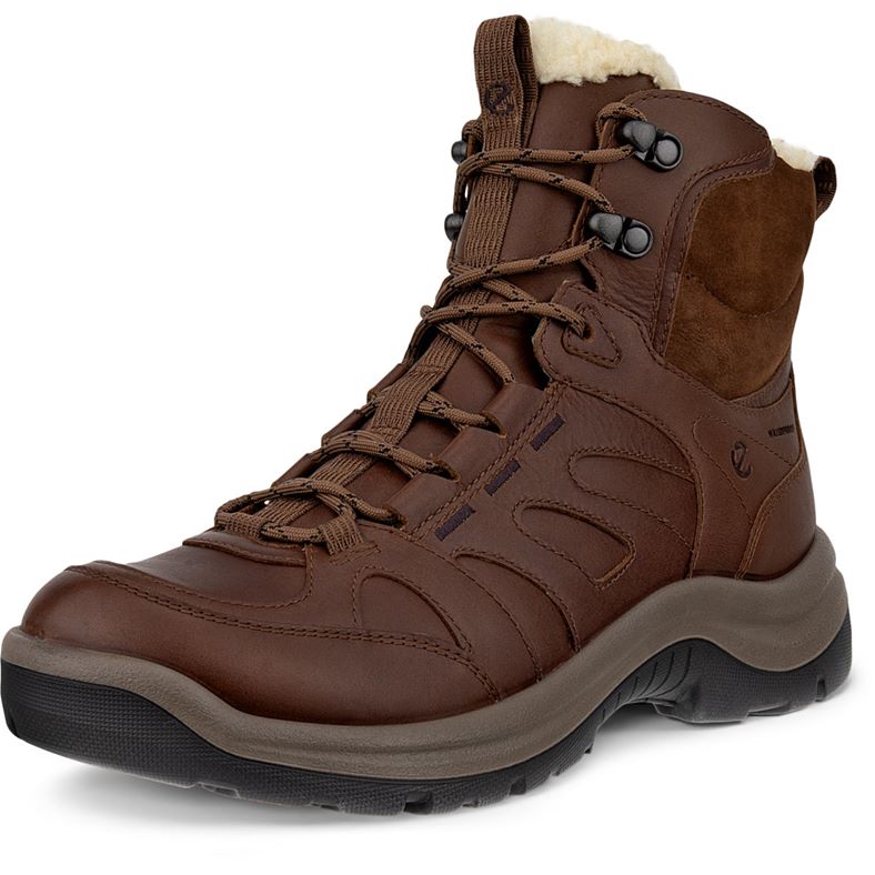 ecco offroad w