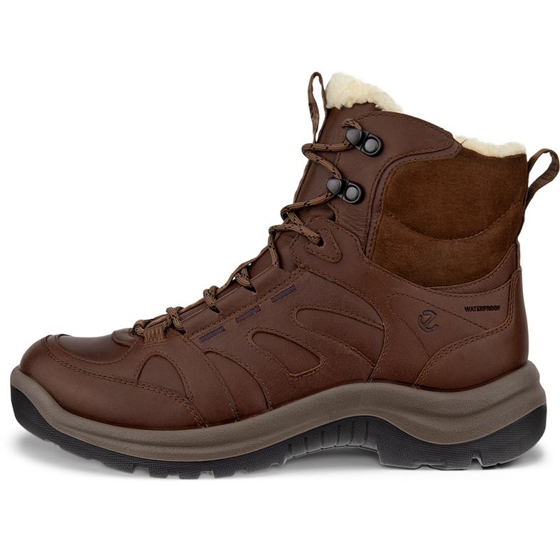 ecco offroad w