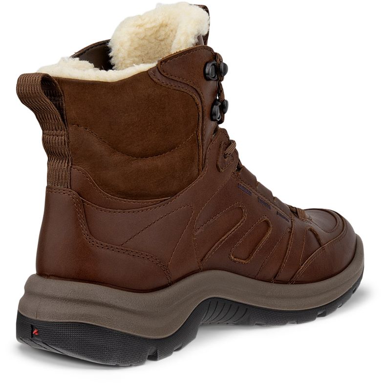 ecco offroad w