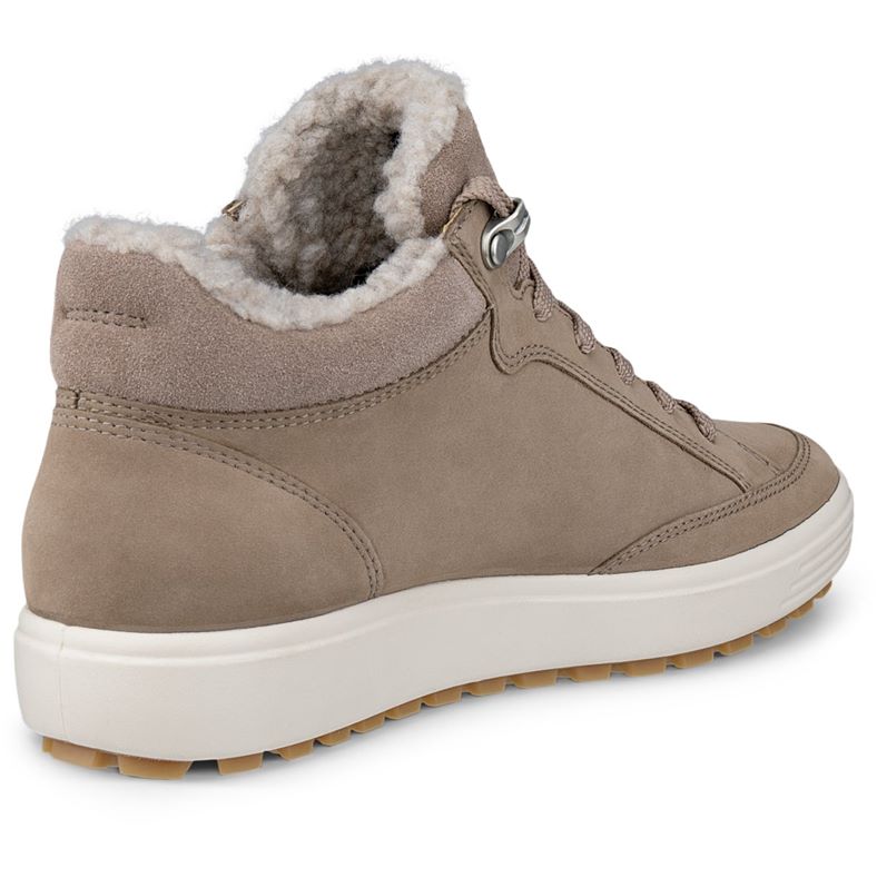 ecco soft 7 tred w